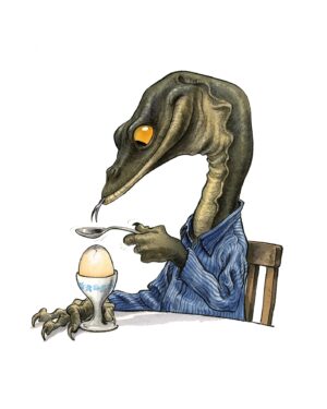 reptile 11