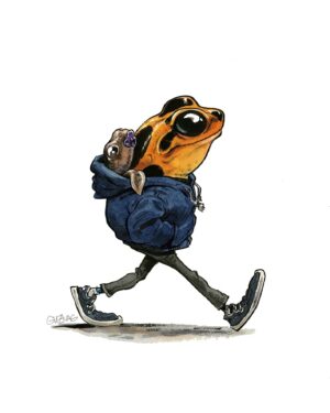 Grenouille 4