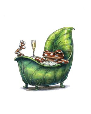 Grenouille 8