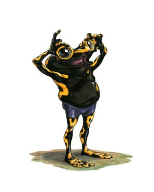 Grenouille 10
