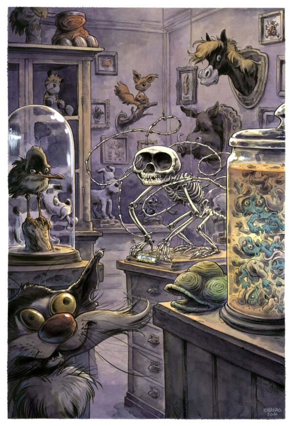 Cabinet de curiosité
