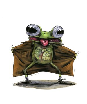 Grenouille 13