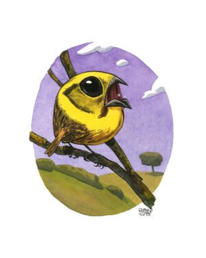 bruant jaune