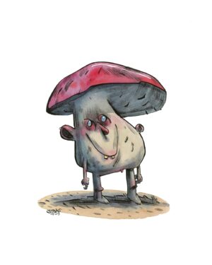 champignon rose