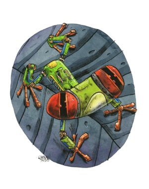 red eyed tree bot