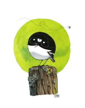 gobemouche noir