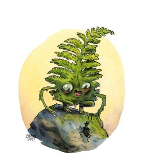 Kodama fougère