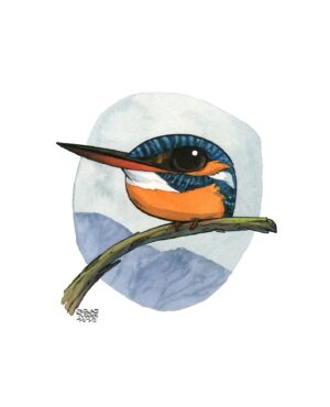 martin-pêcheur