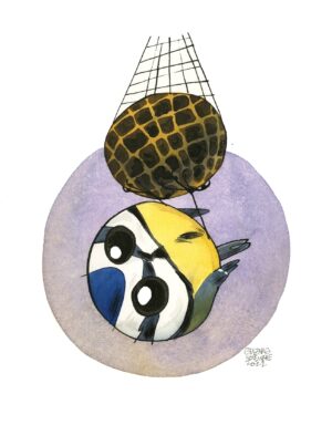 Blue tit