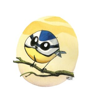 blue tit