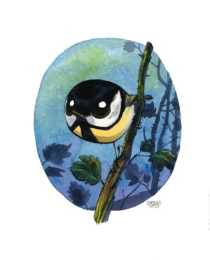 mésange charbonnière