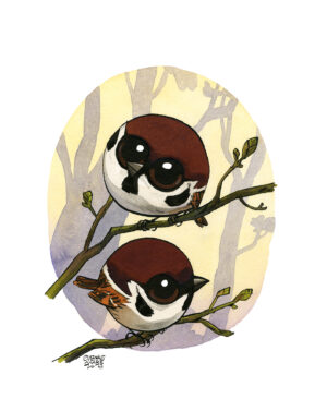 moineau friquet