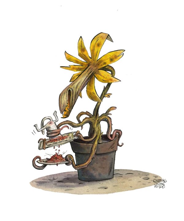 Plante Carnivore