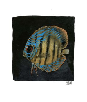 discus