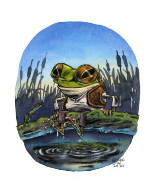 European tree frog