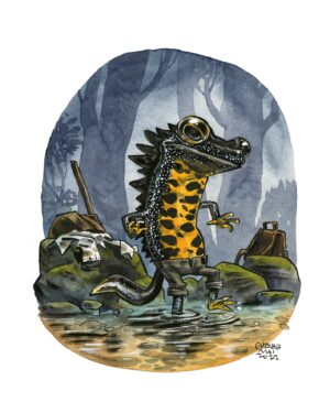 triton crêté