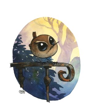 troglodyte mignon